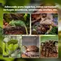 Terrario para Reptiles de Vidrio con Termómetro Cuenco de Agua para Lagartos Serpientes Arañas 50x30x25 cm Negro Terrario para Reptiles de Vidrio con Termómetro Cuenco de Agua para Lagartos Serpientes Arañas 50x30x25 cm Negro