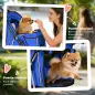 Carrito para Perros Pequeños con Cesta de Almacenaje Portavasos Ruedas y Cojín Lavable 77x44x102 cm Azul