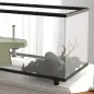 Acuario para Tortugas 50L Terrario de Tortugas Pequeñas con Plataforma Rampa 60x30x32 cm Transparente Acuario para Tortugas 50L Terrario de Tortugas Pequeñas con Plataforma Rampa 60x30x32 cm Transparente