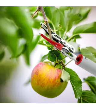 Tijeras de Podar de Jardín 180 cm con Mango de Aluminio Ligero y Resistente Cuchilla Metálica para Poda de Ramas Altas