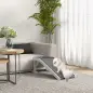 Rampa para Mascotas de Madera con Alfombra Antideslizante para Perros Pequeños o Mayores 125x40x35,5 cm Blanco y Gris Rampa para Mascotas de Madera con Alfombra Antideslizante para Perros Pequeños o Mayores 125x40x35,5 cm Blanco y Gris