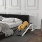 Rampa para Mascotas de Madera con Alfombra Antideslizante para Perros Pequeños o Mayores 125x40x35,5 cm Blanco y Gris Rampa para Mascotas de Madera con Alfombra Antideslizante para Perros Pequeños o Mayores 125x40x35,5 cm Blanco y Gris