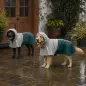 Impermeable para Perros con Capucha Chubasquero Agujero para Correa Tiras Reflectantes Perros Grandes 20-30 kg L Verde Impermeable para Perros con Capucha Chubasquero Agujero para Correa Tiras Reflectantes Perros Grandes 20-30 kg L Verde