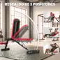 Banco de Pesas Plegable con Bandas de Resistencia Respaldo Ajustable Plano/Inclinación/Declive para Casa Gimnasio Rojo