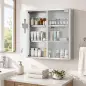 Botiquín de Pared con Cerradura Puertas de Cristal Estantes y 2 Llaves para Baño Cocina 46x12x48 cm Plateado Botiquín de Pared con Cerradura Puertas de Cristal Estantes y 2 Llaves para Baño Cocina 46x12x48 cm Plateado