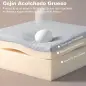 Sofá Cama 2 Plazas Convertible 3 en 1 Tapizado en Lino con Respaldo Ajustable Click-Clack Gris Claro Sofá Cama 2 Plazas Convertible 3 en 1 Tapizado en Lino con Respaldo Ajustable Click-Clack Gris Claro
