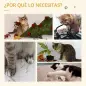 Árbol Rascador para Gatos Pequeño 49 cm Torre para Gatos con Poste de Yute Cama y Bola Colgante 40x40x49 cm Café