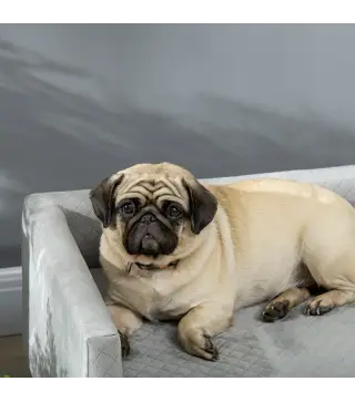 Sofá para Perros Pequeños 64x45x36 cm Tapizado en Terciopelo con Cojín Lavable y Patas de Madera de Abedul Gris Oscuro