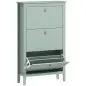 Mueble zapatero 14 pares, armario zapatero con 3 cajones abatibles, estantes extraíbles y regulables, verde Mueble zapatero 14 pares, armario zapatero con 3 cajones abatibles, estantes extraíbles y regulables, verde