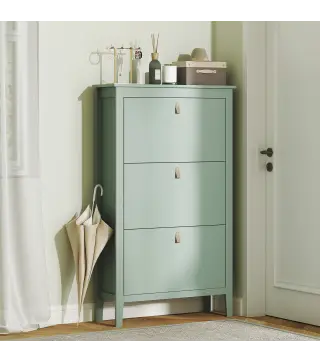 Mueble zapatero 14 pares, armario zapatero con 3 cajones abatibles, estantes extraíbles y regulables, verde