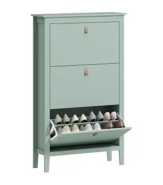 Mueble zapatero 14 pares, armario zapatero con 3 cajones abatibles, estantes extraíbles y regulables, verde