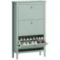 Mueble zapatero 14 pares, armario zapatero con 3 cajones abatibles, estantes extraíbles y regulables, verde Mueble zapatero 14 pares, armario zapatero con 3 cajones abatibles, estantes extraíbles y regulables, verde