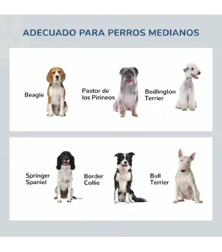 Comedero Elevado para Perros con 2 Cuencos Extraíbles de Acero Inoxidable 58,4x30,5x25,4 cmGris