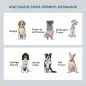 Comedero Elevado para Perros con 2 Cuencos Extraíbles de Acero Inoxidable 58,4x30,5x25,4 cm Gris Comedero Elevado para Perros con 2 Cuencos Extraíbles de Acero Inoxidable 58,4x30,5x25,4 cm Gris