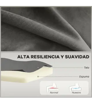 Sofá de 2 Plazas Tapizado en Terciopelo Asiento y Respaldo Acolchados Patas de Madera Carga 220 kg Gris Oscuro