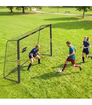 Portería de Fútbol para Jardín 300x120x200 cm con Red Estructura Metálica y Acolchada EPE Negro y Amarillo
