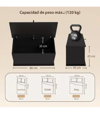 Baúl de Almacenaje 102L con Bisagra de Seguridad Estilo Moderno para Pasillo Dormitorio Salón 80x40x45 cm Negro