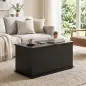 Baúl de Almacenaje 102L con Bisagra de Seguridad Estilo Moderno para Pasillo Dormitorio Salón 80x40x45 cm Negro Baúl de Almacenaje 102L con Bisagra de Seguridad Estilo Moderno para Pasillo Dormitorio Salón 80x40x45 cm Negro