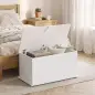 Baúl de Almacenaje 102L con Bisagra de Seguridad Estilo Moderno para Pasillo Dormitorio Salón 80x40x45 cm Blanco Baúl de Almacenaje 102L con Bisagra de Seguridad Estilo Moderno para Pasillo Dormitorio Salón 80x40x45 cm Blanco