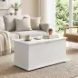 Baúl de Almacenaje 102L con Bisagra de Seguridad Estilo Moderno para Pasillo Dormitorio Salón 80x40x45 cm Blanco Baúl de Almacenaje 102L con Bisagra de Seguridad Estilo Moderno para Pasillo Dormitorio Salón 80x40x45 cm Blanco