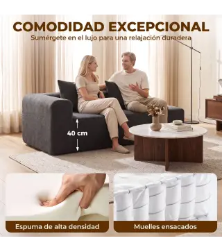 Sofá de 2 Plazas de Chenilla con 2 Almohadas Asiento con Muelles No Requiere Montaje 71,5x91,5x83 cm Gris Oscuro