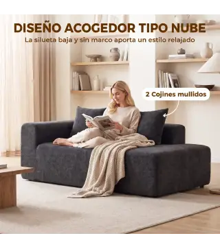 Sofá de 2 Plazas de Chenilla con 2 Almohadas Asiento con Muelles No Requiere Montaje 71,5x91,5x83 cm Gris Oscuro