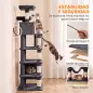 Árbol Rascador para Gatos 204 cm Multinivel con 2 Cuevas Hamaca 2 Camas Postes de Sisal Escalera 2 Bolas Gris Oscuro