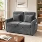Sofá Cama 2 Plazas 3 en 1 con Respaldo Ajustable 5 Niveles Bolsillos Laterales 2 Almohadas para Sala de Estar Gris Sofá Cama 2 Plazas 3 en 1 con Respaldo Ajustable 5 Niveles Bolsillos Laterales 2 Almohadas para Sala de Estar Gris