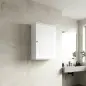 Armario de Baño de Pared Puerta con Cierre Suave Estante Ajustable para Cocina Lavadero 30x14x50 cm Blanco Armario de Baño de Pared Puerta con Cierre Suave Estante Ajustable para Cocina Lavadero 30x14x50 cm Blanco