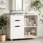 Mueble para Impresora con Ruedas 3 Cajones Barra Ajustable 2 Estantes Abiertos y Asas para Documentos Tamaño A4 Blanco Mueble para Impresora con Ruedas 3 Cajones Barra Ajustable 2 Estantes Abiertos y Asas para Documentos Tamaño A4 Blanco