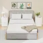 Juego de 2 Mesitas de Noche Estrechas Mesillas de Noche Dormitorio con 2 Cajones Frentes de Alto Brillo Blanco Juego de 2 Mesitas de Noche Estrechas Mesillas de Noche Dormitorio con 2 Cajones Frentes de Alto Brillo Blanco