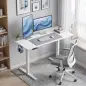 Escritorio Elevable Eléctrico 120x60 cm con 3 Memorias Pantalla LED 2 Ganchos y 2 Pasacables Blanco Escritorio Elevable Eléctrico 120x60 cm con 3 Memorias Pantalla LED 2 Ganchos y 2 Pasacables Blanco