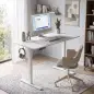 Escritorio Elevable Eléctrico 120x60 cm con 3 Memorias Pantalla LED 2 Ganchos y 2 Pasacables Blanco Escritorio Elevable Eléctrico 120x60 cm con 3 Memorias Pantalla LED 2 Ganchos y 2 Pasacables Blanco