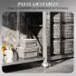 Mesa de Trabajo de Acero Inoxidable con 2 Estantes para Cocina Garaje Taller Carga 100 kg 120x60x86 cm Plata Mesa de Trabajo de Acero Inoxidable con 2 Estantes para Cocina Garaje Taller Carga 100 kg 120x60x86 cm Plata