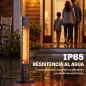 Calefactor Infrarrojos Terraza de Pie o Pared 2000 W con Mando 9 Niveles Calor Temporizador Apagado Inclinación Funda