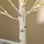 Árbol de Abedul Altura 180 cm con 96 Luces LED IP44 Blanco Cálido Decoración para Interiores 22x22x180 cm Blanco Árbol de Abedul Altura 180 cm con 96 Luces LED IP44 Blanco Cálido Decoración para Interiores 22x22x180 cm Blanco
