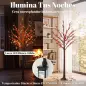 Árbol de Abedul Artificial 150 cm con 96 Luces LED Blanco Cálido Bayas Rojas Temporizador y 12 Ramas Flexibles Marrón Árbol de Abedul Artificial 150 cm con 96 Luces LED Blanco Cálido Bayas Rojas Temporizador y 12 Ramas Flexibles Marrón