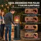 Estufa de Gas para Terraza 11 kW con Regulación Continua Rejilla Protectora Antivuelco y 2 Ruedas Negro Estufa de Gas para Terraza 11 kW con Regulación Continua Rejilla Protectora Antivuelco y 2 Ruedas Negro