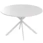 Mesa de Comedor Redonda para 4 Personas con Estructura de Acero Ø120x75 cm Blanco Mesa de Comedor Redonda para 4 Personas con Estructura de Acero Ø120x75 cm Blanco