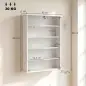 Botiquín de Pared de 5 Niveles con 2 Puertas de Cristal Estantes Ajustables Cerradura y 2 Llaves 60x17x82,5 cm Blanco Botiquín de Pared de 5 Niveles con 2 Puertas de Cristal Estantes Ajustables Cerradura y 2 Llaves 60x17x82,5 cm Blanco