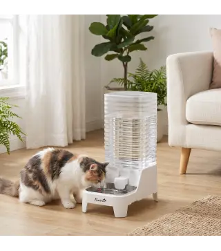Dispensador de Agua Automático por Gravedad para Perros y Gatos 8 L Boquilla Abatible Cuenco de Acero Inoxidable Blanco