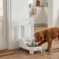 Dispensador de Agua Automático por Gravedad para Perros y Gatos 8 L Boquilla Abatible Cuenco de Acero Inoxidable Blanco