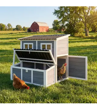Gallinero para Exterior de Madera 100x86x100cm 2-4 Gallinas Nido Bandeja Extraíble Techo Impermeable Perchas Gris Claro