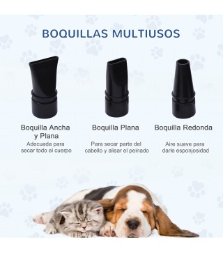 Conjunto para Mascotas