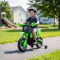 Moto Eléctrica Niños 12V con 2 Ruedas Auxiliares Desmontables 2 Motores Suspensión Trasera 3 km/h 3-6 Años Verde Moto Eléctrica Niños 12V con 2 Ruedas Auxiliares Desmontables 2 Motores Suspensión Trasera 3 km/h 3-6 Años Verde