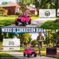 Coche Eléctrico Niños 12V Licencia Land Rover Defender Control Remoto 2,4G 2 Motores Arranque Suave Faros +3 Años Rosa Coche Eléctrico Niños 12V Licencia Land Rover Defender Control Remoto 2,4G 2 Motores Arranque Suave Faros +3 Años Rosa