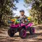 Quad Eléctrico para Niños 12V 2 Motores Batería de Litio Arranque Suave 2 Cestas Música MP3 Faros 3-8 Años Rosa Quad Eléctrico para Niños 12V 2 Motores Batería de Litio Arranque Suave 2 Cestas Música MP3 Faros 3-8 Años Rosa