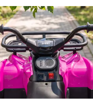 Quad Eléctrico para Niños 12V 2 Motores Batería de Litio Arranque Suave 2 Cestas Música MP3 Faros 3-8 Años Rosa