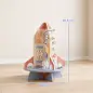 Cubo de Actividades de Madera Tema Cohete Juguete Montessori con Engranajes Laberinto de Cuentas Reloj Giratorio Cubo de Actividades de Madera Tema Cohete Juguete Montessori con Engranajes Laberinto de Cuentas Reloj Giratorio