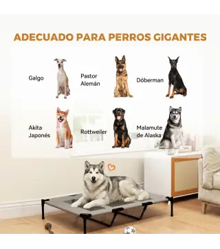 Cama Elevada para Perros Grandes Cama para Perros con Zona de Malla Transpirable y Bolsa 122x92x23 cm Gris Claro